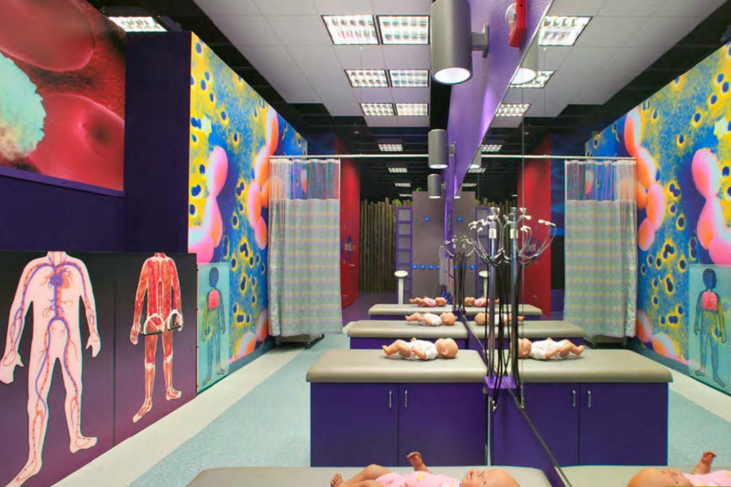 IntelliZeum, El Paso Texas, Region 19 Education Service Center, Human Health Body Classroom