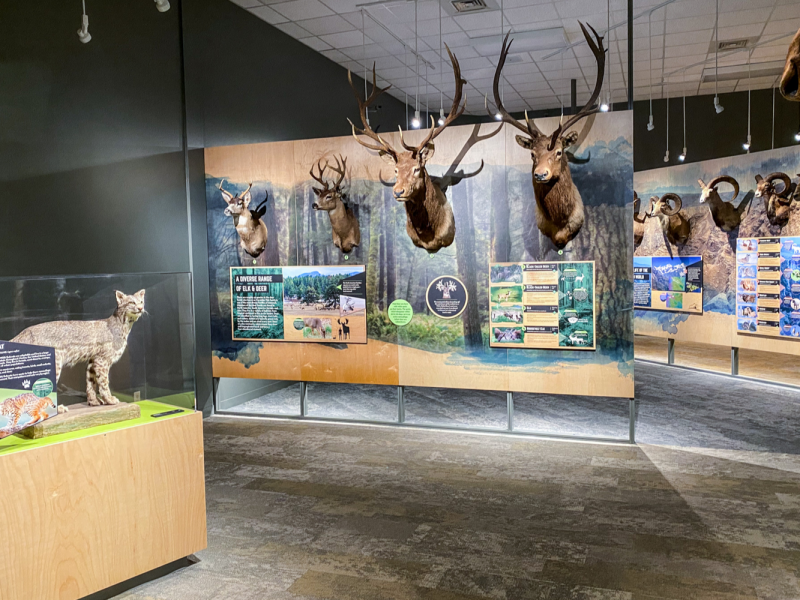 Bond Gallery | Red River Valley Museum