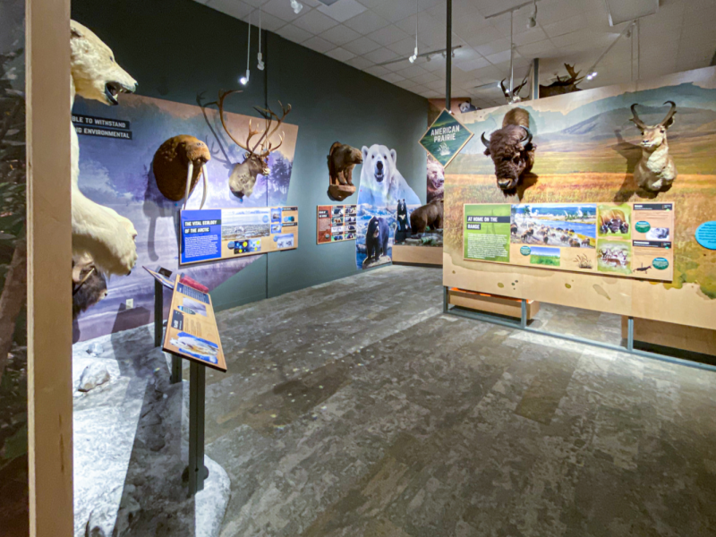 Bond Gallery | Red River Valley Museum