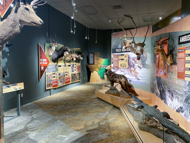 Bond Gallery | Red River Valley Museum