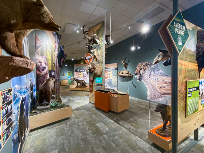 Bond Gallery | Red River Valley Museum